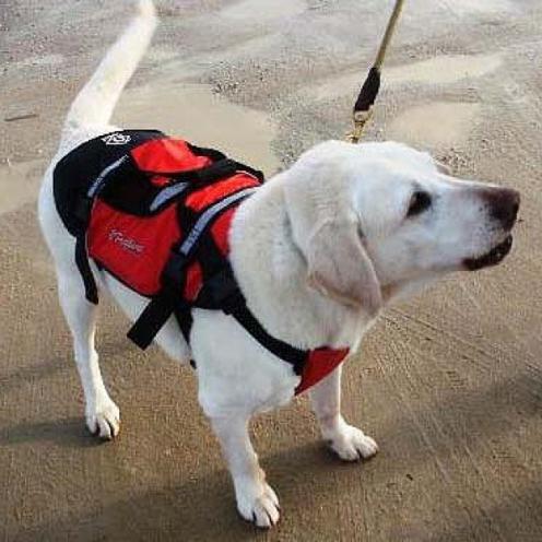 £10 off the Crewsaver Petfloat Range!